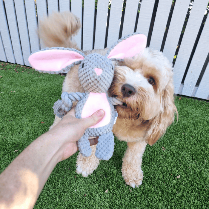 Bonnie Bunny Rope Corduroy Dog Toy - Plush and Rope Toys from . at DoggyTopia
