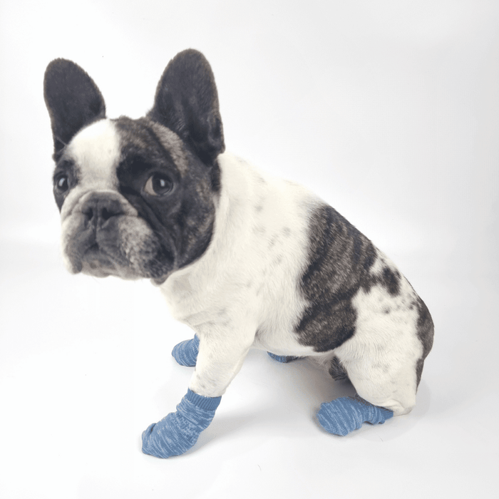 Bubblegum Blue Dog Socks - Dog Socks from . at DoggyTopia