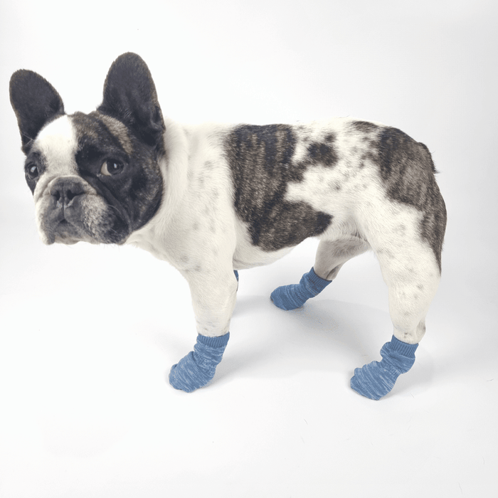 Bubblegum Blue Dog Socks - Dog Socks from . at DoggyTopia
