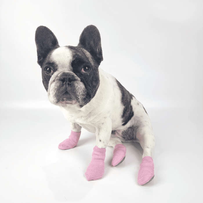 Bubblegum Pink Dog Socks - Dog Socks from . at DoggyTopia