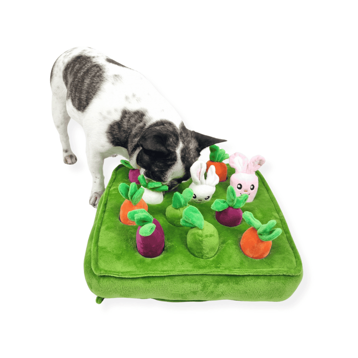 Bunny Garden Nose Work Toy - Foraging Toy from . at DoggyTopia