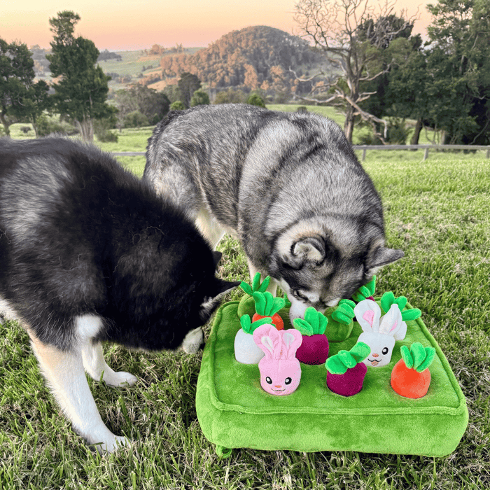 Bunny Garden Nose Work Toy - Foraging Toy from . at DoggyTopia