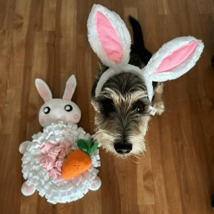 Bunny Snuffle Mat - Snuffle Mats from . at DoggyTopia