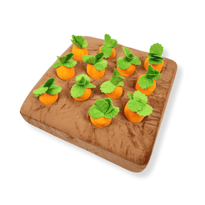Carrot Patch Nose Work Toy - Foraging Toy from . at DoggyTopia