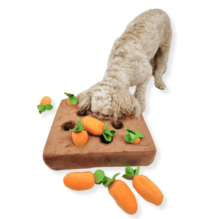 Carrot Patch Nose Work Toy - Foraging Toy from . at DoggyTopia