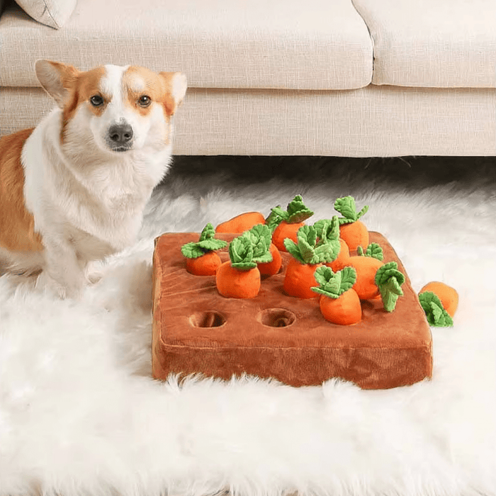 Carrot Patch Nose Work Toy - Foraging Toy from . at DoggyTopia