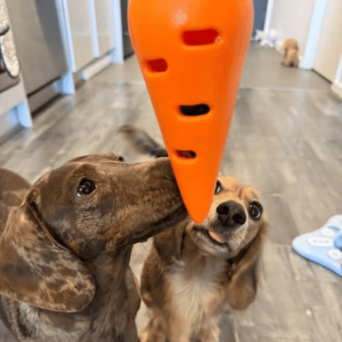 Carrot Treat Dispenser Dog Toy - Enrichment Toys from . at DoggyTopia