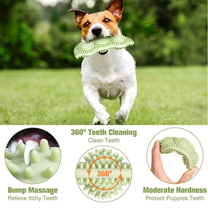 Bite-resistant TPR chew stick dog toy in blue, pink and green