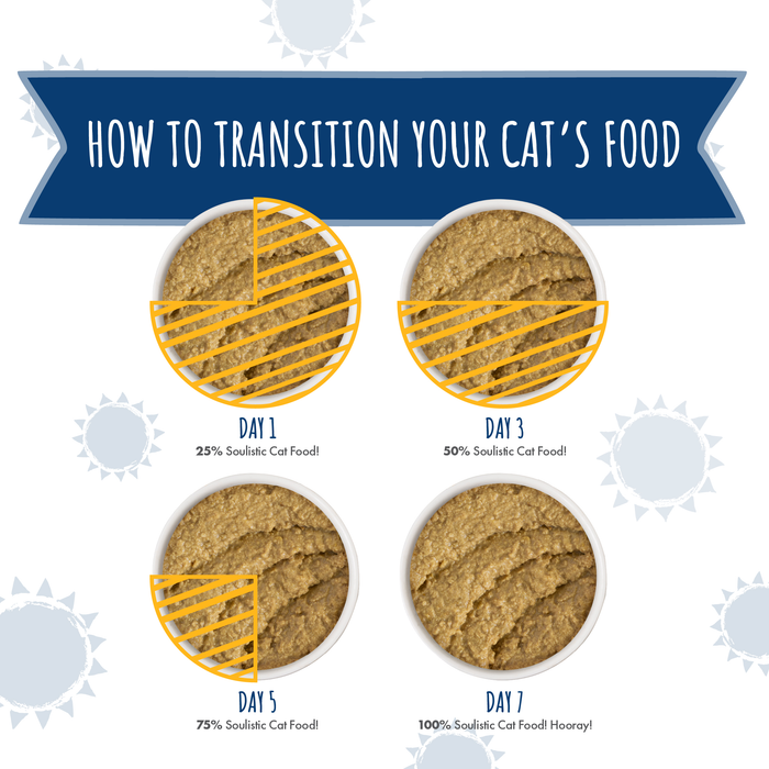 Soulistic Chicken & Turkey Dinner in a Hydrating Purée is served in bowls to support optimal cat nutrition.