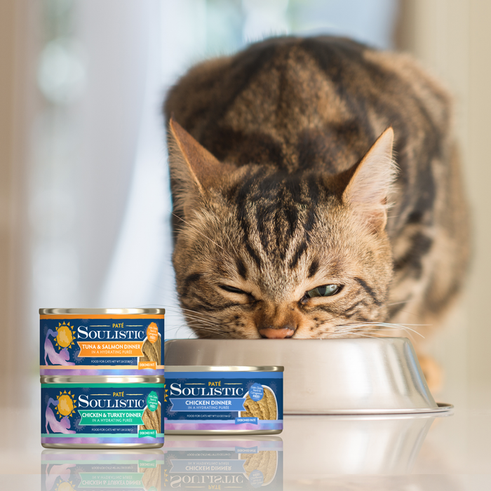 A brown tabby cat eats from a metal bowl next to three stacked cans of Soulistic Chicken & Turkey Dinner in a Hydrating Purée, with a soft, blurred background.