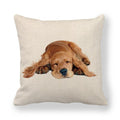 Cocker Spaniel Sleeping Throw Cushion - Cushions from Sale at DoggyTopia
