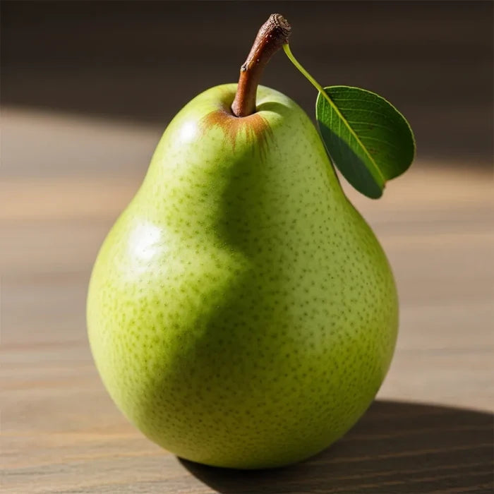 Cordon 'Comice' Pear Tree | 7.5L Pot