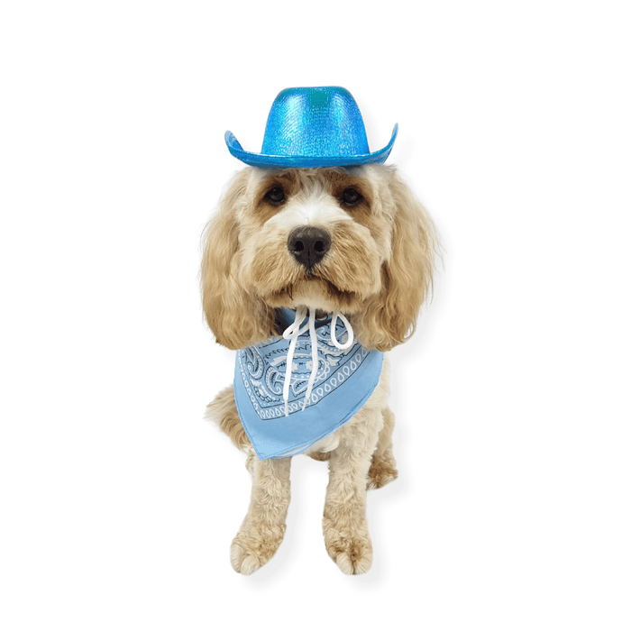 Cowboy Dog Hat and Bandana: Blue - Dog Hats from . at DoggyTopia