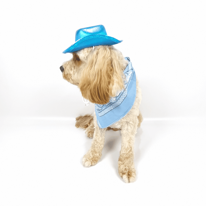 Cowboy Dog Hat and Bandana: Blue - Dog Hats from . at DoggyTopia
