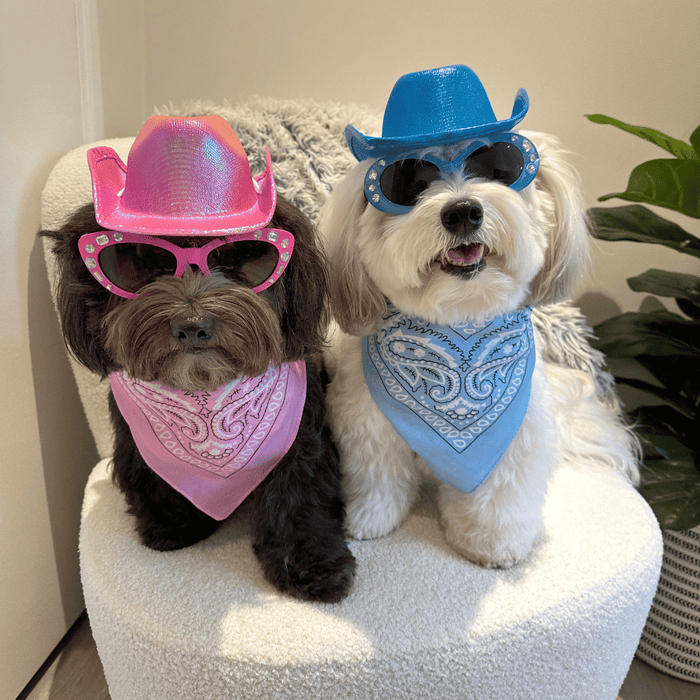 Cowboy Dog Hat and Bandana: Blue - Dog Hats from . at DoggyTopia