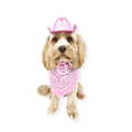 Cowgirl Dog Hat and Bandana: Pink - Dog Hats from . at DoggyTopia