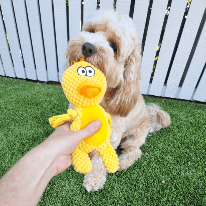Daisy Duck Rope Corduroy Dog Toy - Plush and Rope Toys from . at DoggyTopia