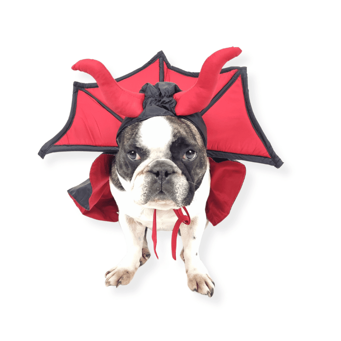 Devil Vampire Dog Costume - Costumes from Halloween at DoggyTopia