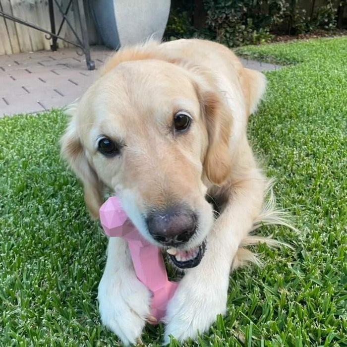 Diamond Rubber Bone - Enrichment Toys from . at DoggyTopia