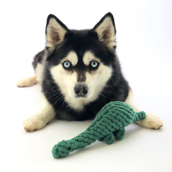 Dinosaur Rope Dog Toy - Rope Toys from . at DoggyTopia