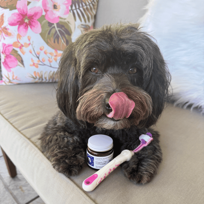 Dog 3 Sided Toothbrush