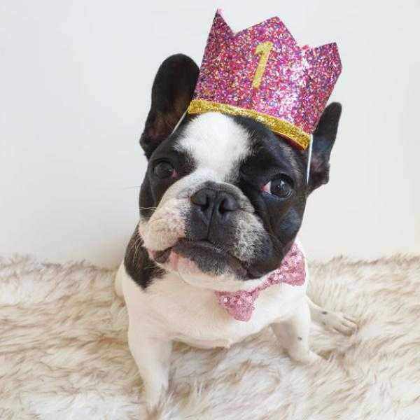 Dog Birthday Crown & Bow Tie Collar - Pink/gold Custom Age - Dog Party Hats from . at DoggyTopia