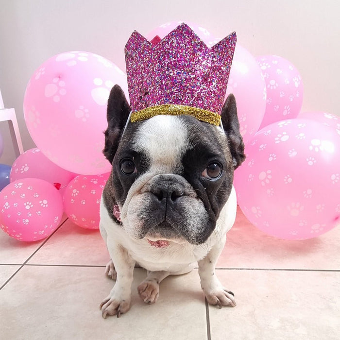 Dog Birthday Crown & Bow Tie Collar - Pink/gold Custom Age - Dog Party Hats from . at DoggyTopia