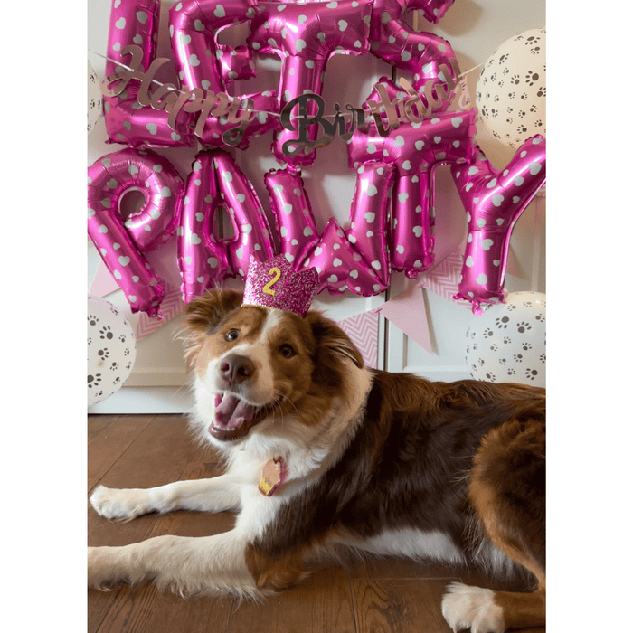 Dog Birthday Crown & Bow Tie Collar - Pink/gold Custom Age - Dog Party Hats from . at DoggyTopia