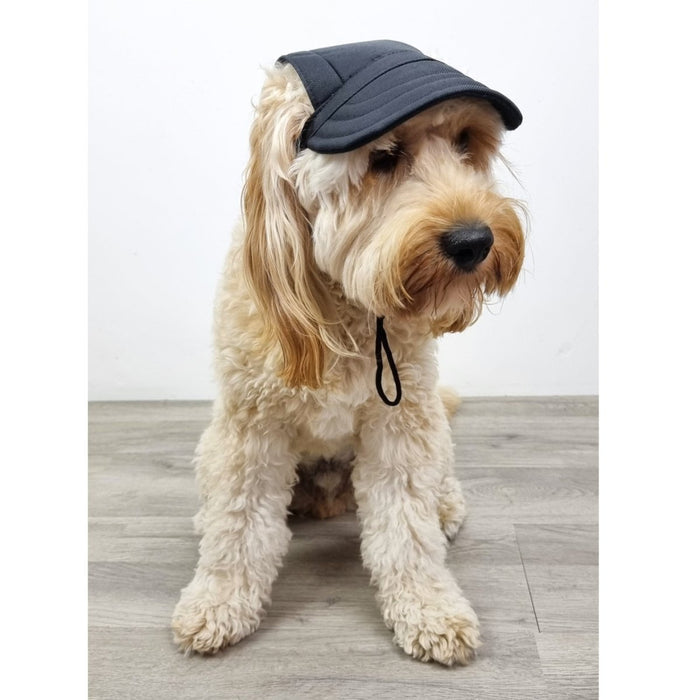 Dog Cap - Black - Dog Hats from . at DoggyTopia
