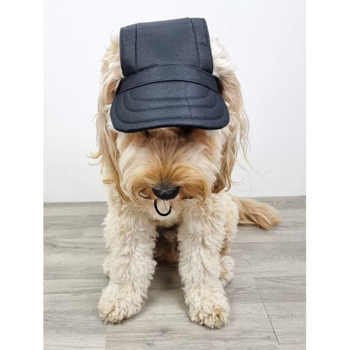 Dog Cap - Black - Dog Hats from . at DoggyTopia