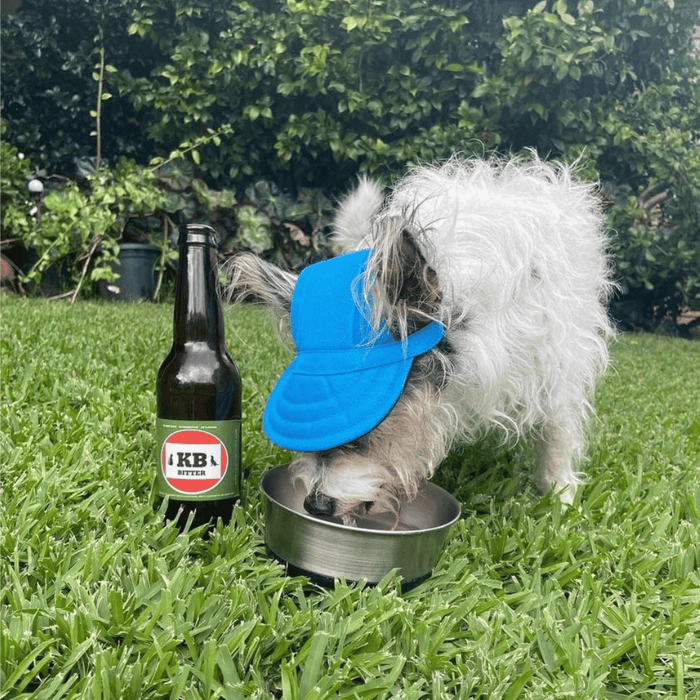 Dog Cap - Blue - Dog Hats from . at DoggyTopia