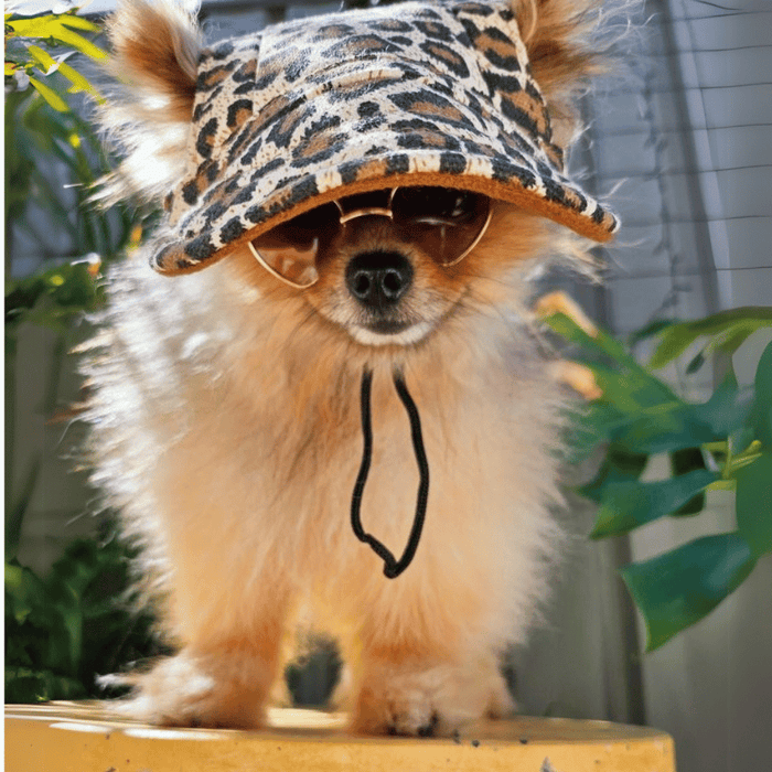 Dog Cap - Camouflage - Dog Hats from . at DoggyTopia