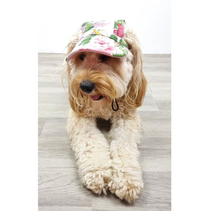 Dog Cap - Floral - Dog Hats from . at DoggyTopia