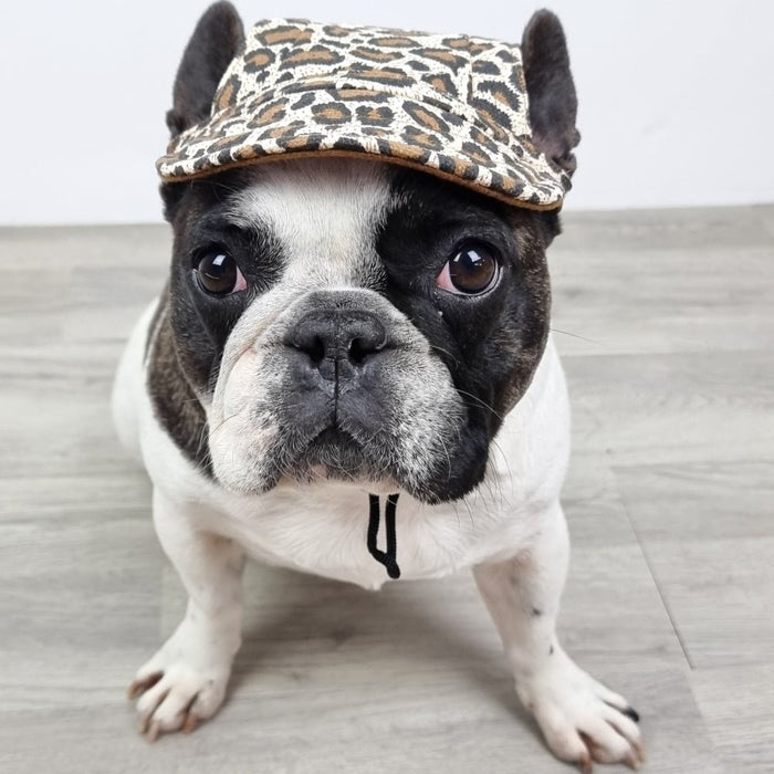 Dog Cap - Leopard - Dog Hats from Sale at DoggyTopia