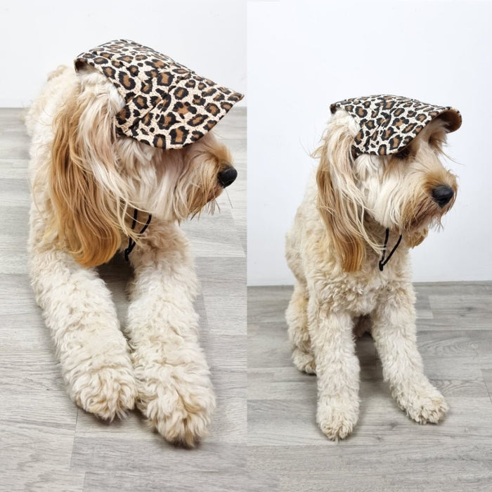 Dog Cap - Leopard - Dog Hats from Sale at DoggyTopia