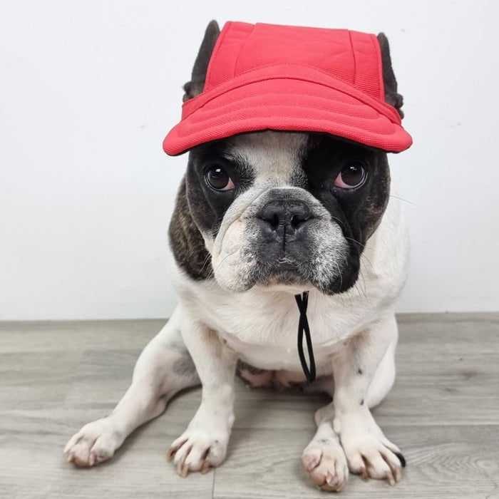 Dog Cap - Red - Dog Hats from . at DoggyTopia