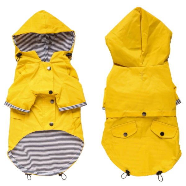 Dog Raincoat - Yellow - Raincoats from . at DoggyTopia