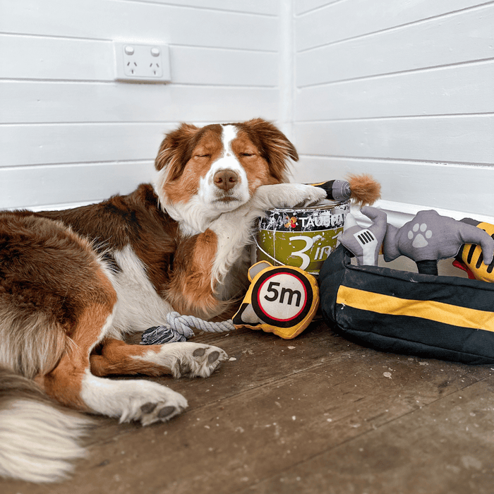 Dog Tool Box Set - Tough Toys from . at DoggyTopia