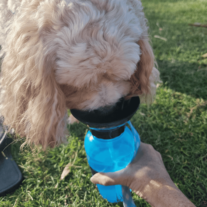 Dog Travel Water Squeeze Bottle 500ml - Travel Bottles from . at DoggyTopia