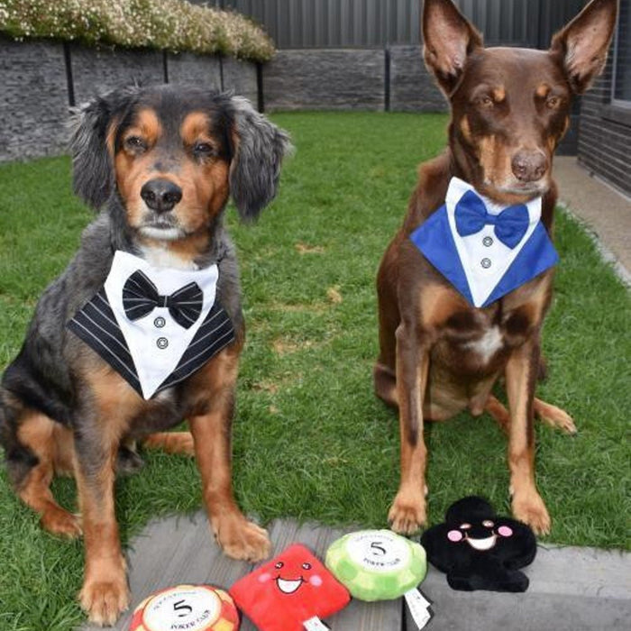 DoggyTopia Poker Club - Diamond Dog Toy - Plush Toys from Sale at DoggyTopia