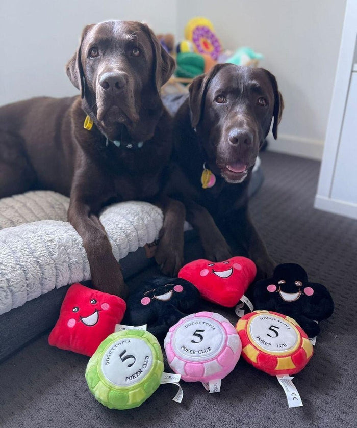 DoggyTopia Poker Club - Diamond Dog Toy - Plush Toys from Sale at DoggyTopia