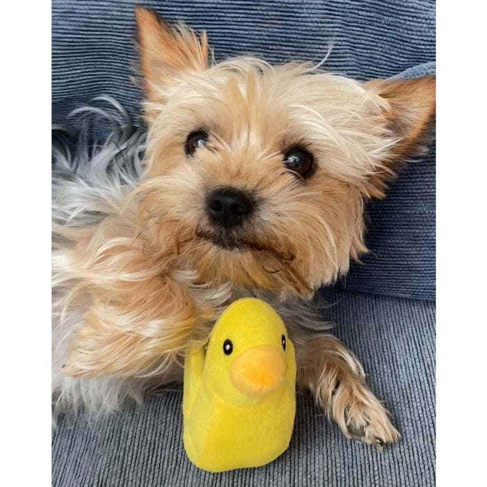 Ducky Plush Squeaker Dog Toy - Plush Toys from . at DoggyTopia