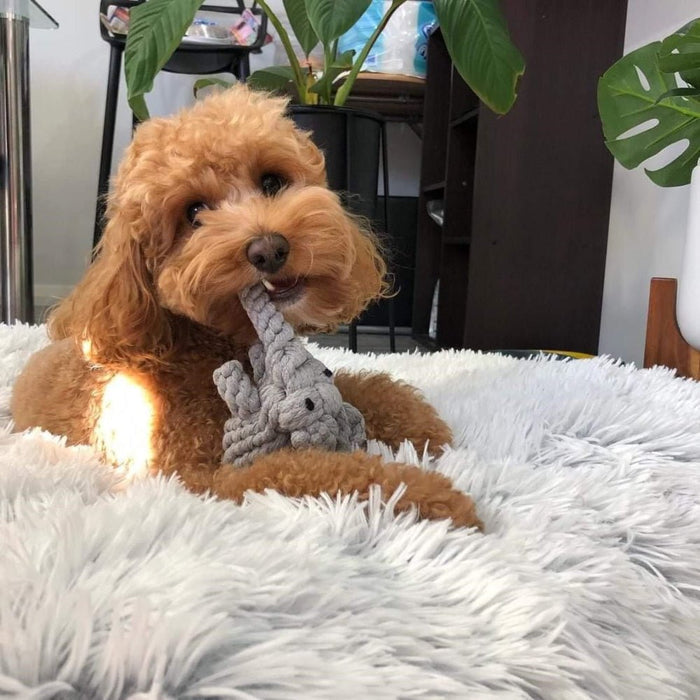 Elephant Rope Dog Toy - Rope Toys from . at DoggyTopia