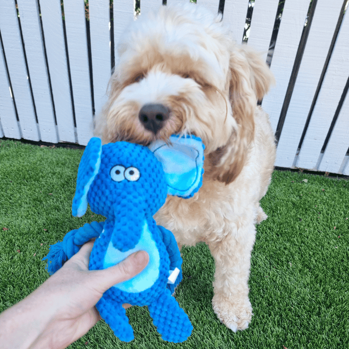 Elliot Elephant Rope Corduroy Dog Toy - Plush and Rope Toys from . at DoggyTopia