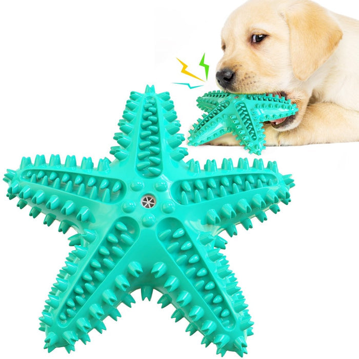 Enrichment Starfish Squeaker Dog Toy - Enrichment Toys from . at DoggyTopia