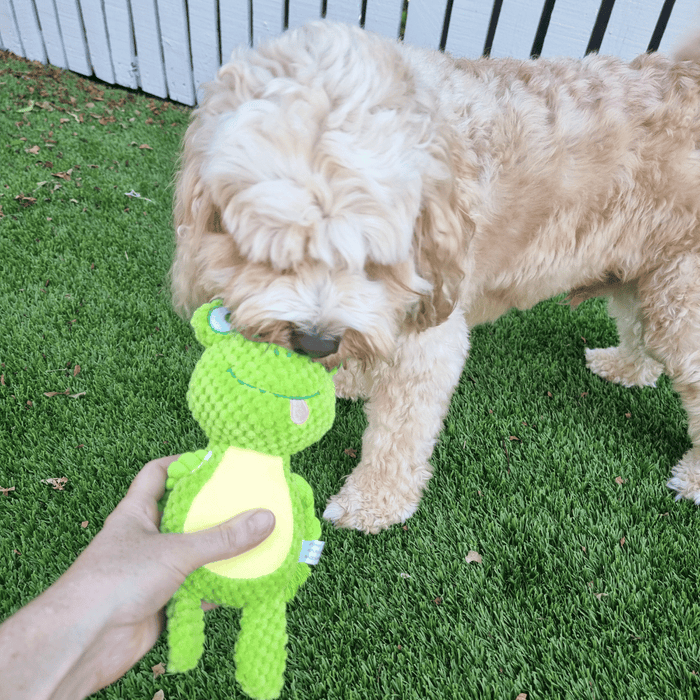 Fiona Frog Rope Corduroy Toy - Plush and Rope Toys from . at DoggyTopia