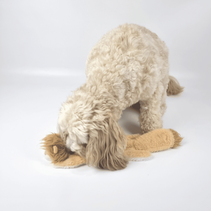 Floppy Lion Plush Dog Toy - Plush Toys from . at DoggyTopia