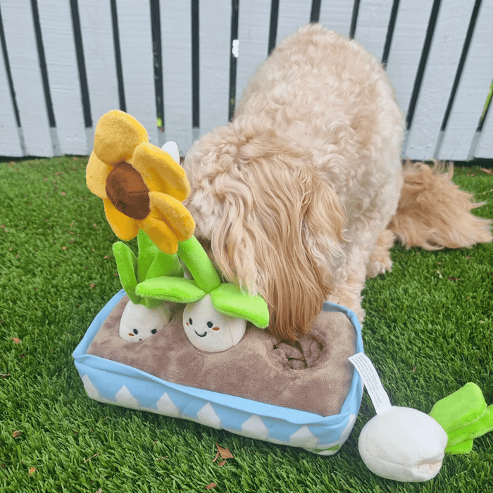 Flower Garden Nose Work Dog Toy - Foraging Toy from . at DoggyTopia