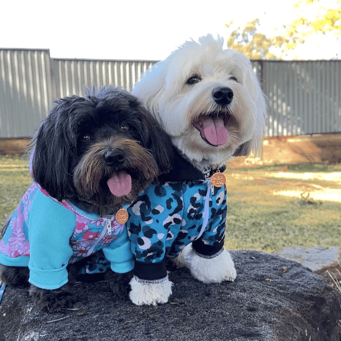 Flower Power Zip Hoodie - Hoodies from Sale at DoggyTopia