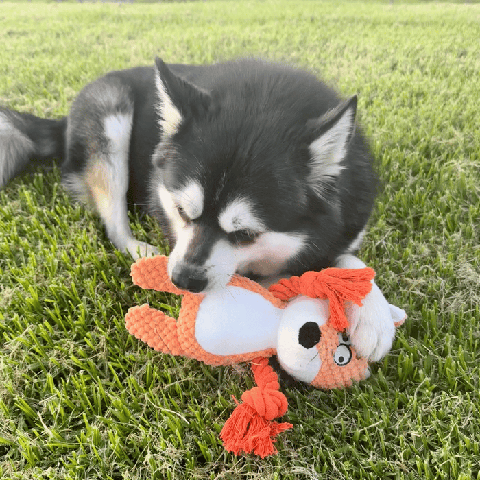 Frida Fox Rope Corduroy Dog Toy - Plush and Rope Toys from . at DoggyTopia